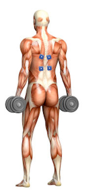 Potenziamento muscoli dorsali